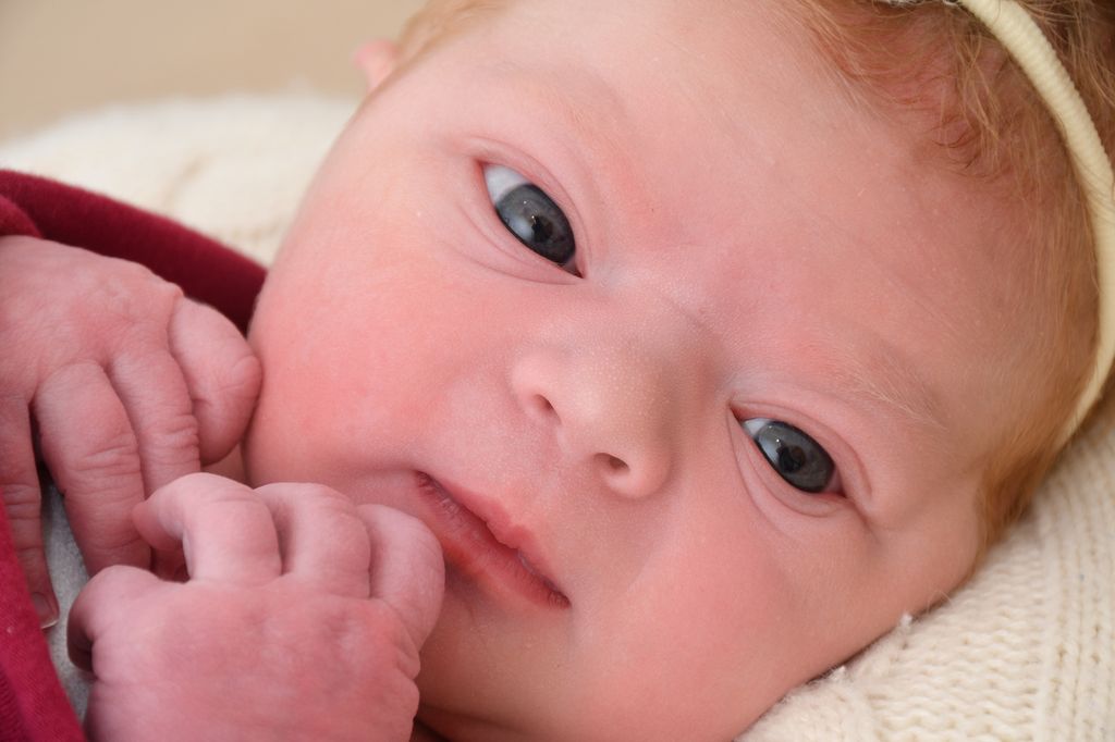 Josephine Amelie Katharina
