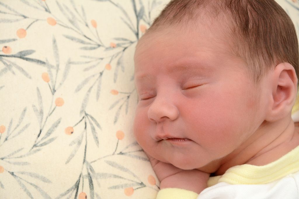 Maximilian