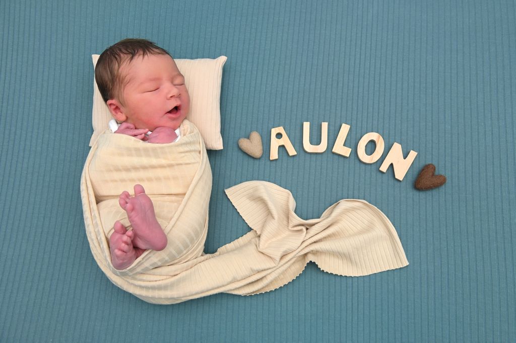 Aulon