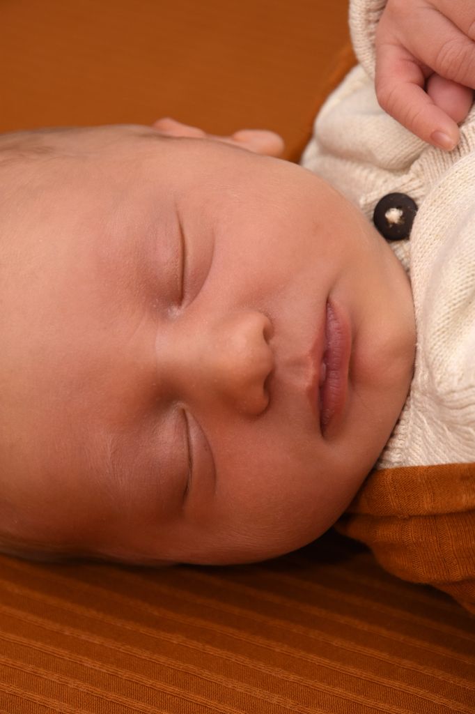 Manoah Zeb