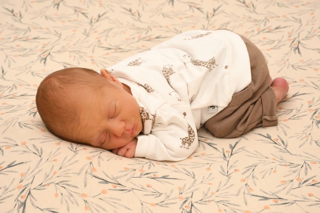 Hannes