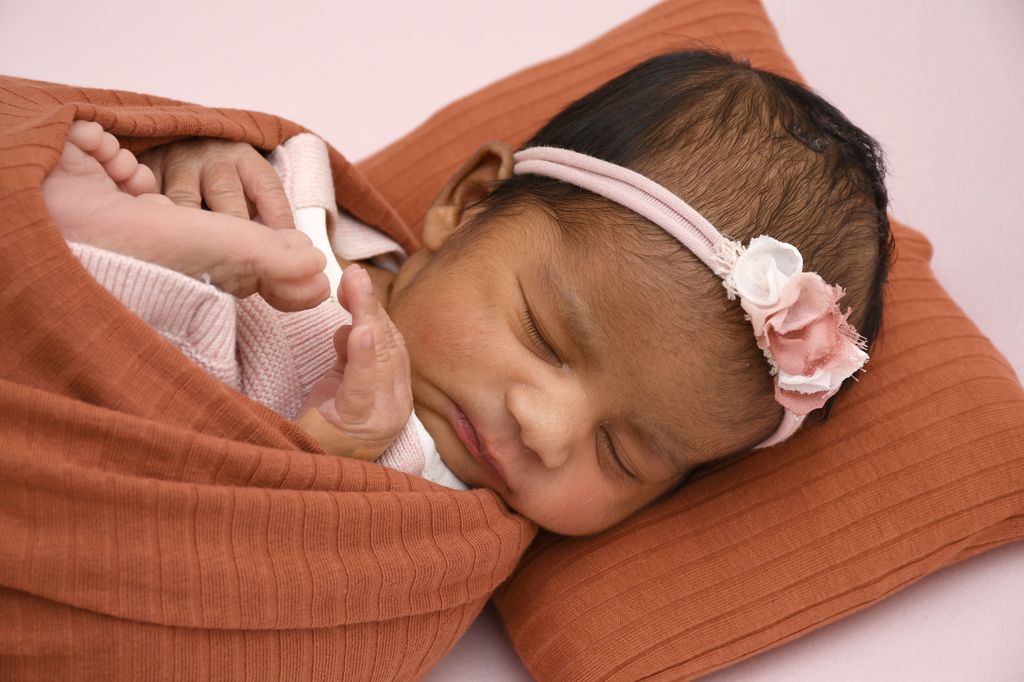Anvika