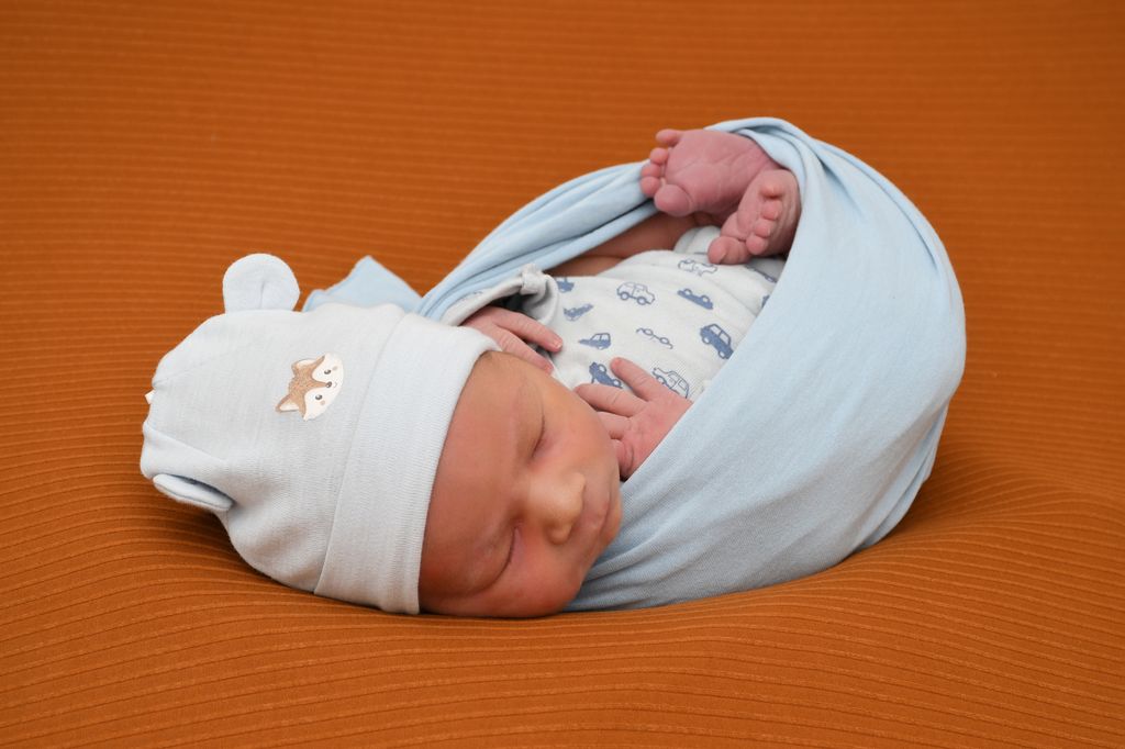 Levi Finn