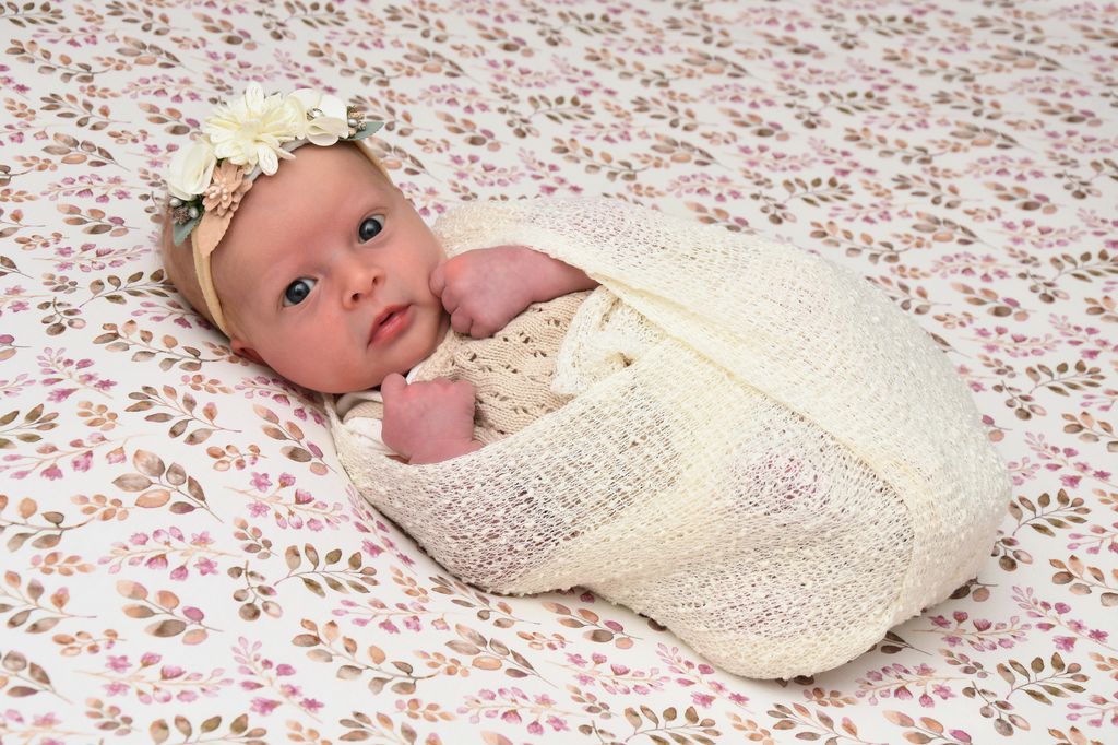 Livia