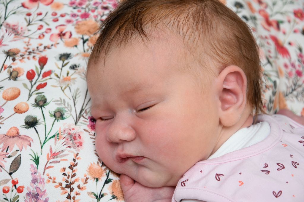 Lotte Johanna