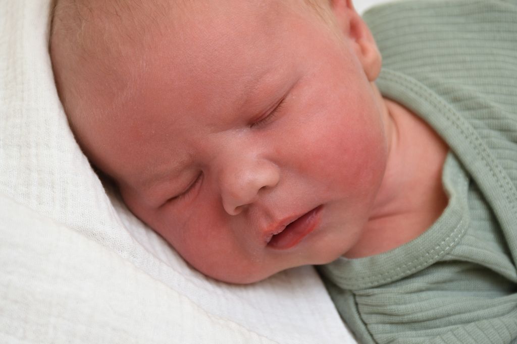 Otto