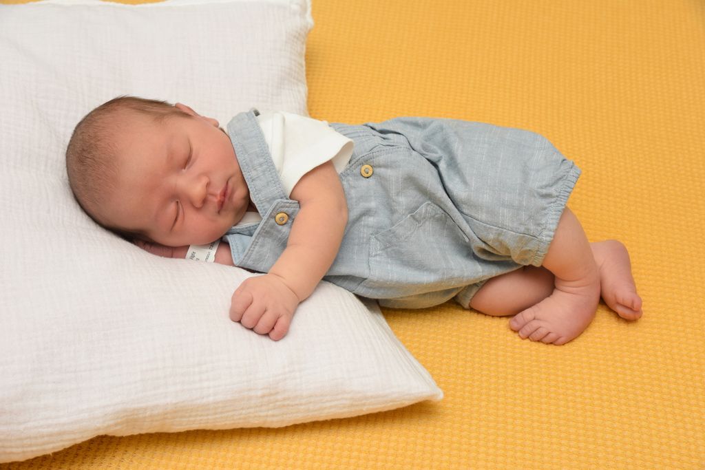 Ivo