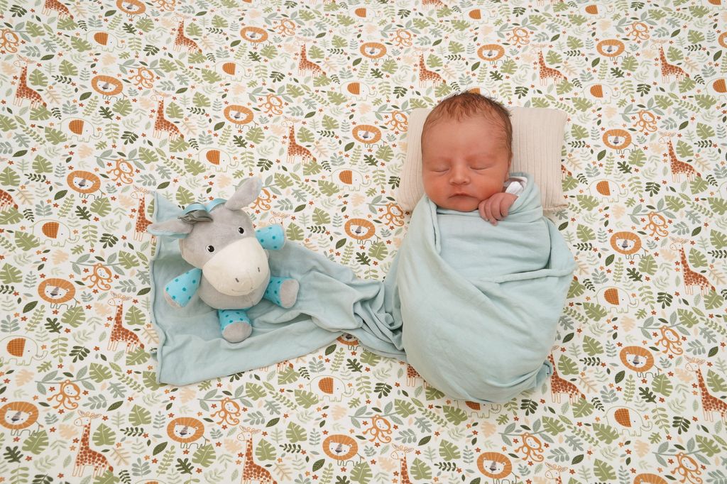 Maximilian Paul