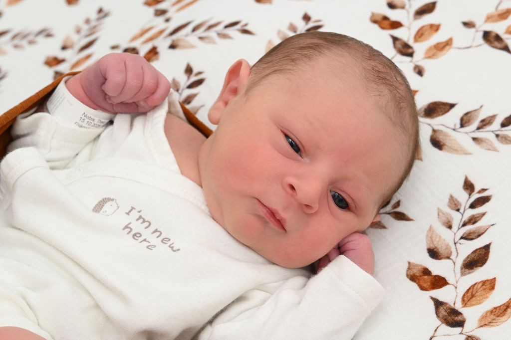 Theo