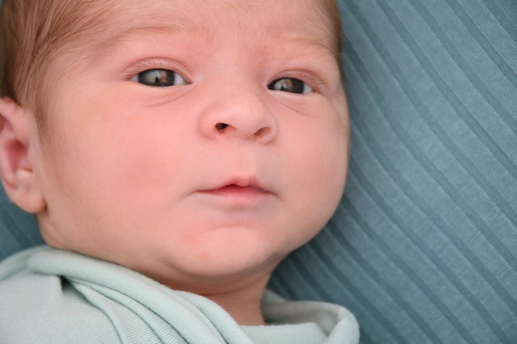 Mateo
