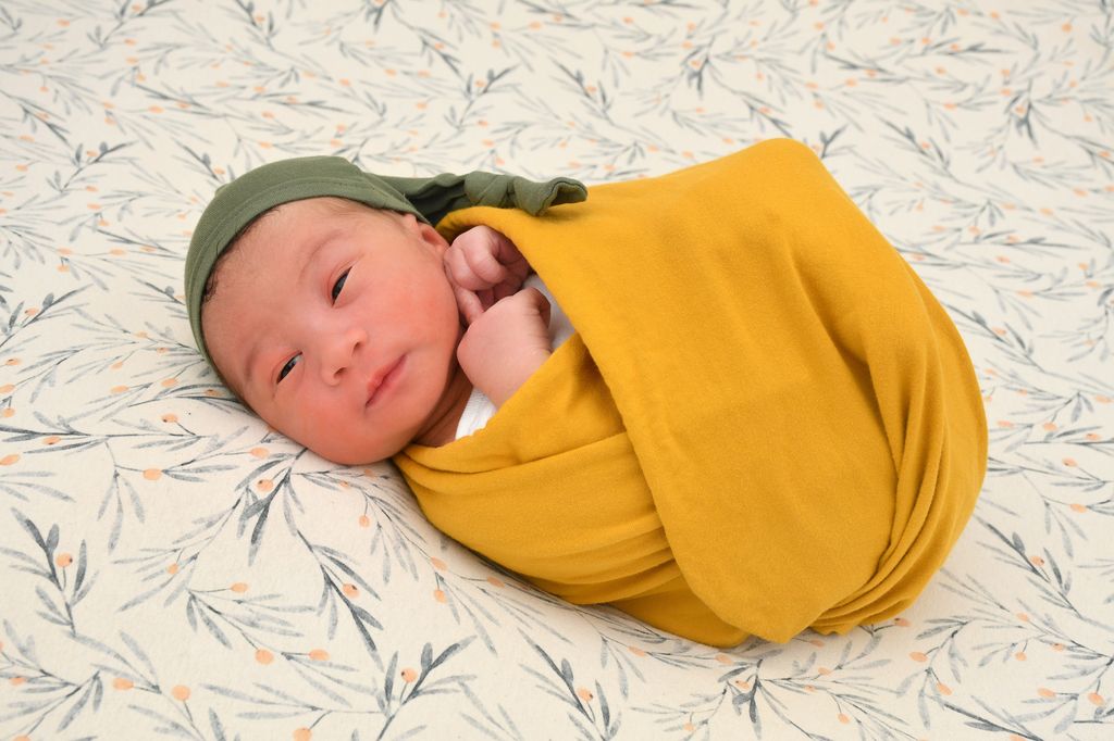 Noah Daniel