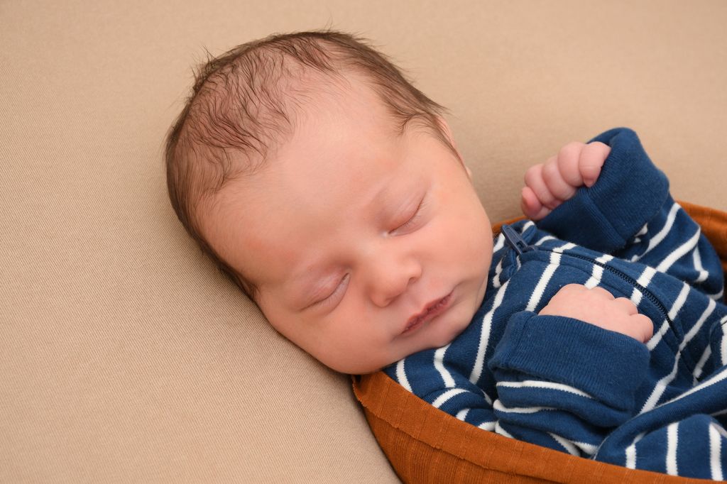 Hudson Alan