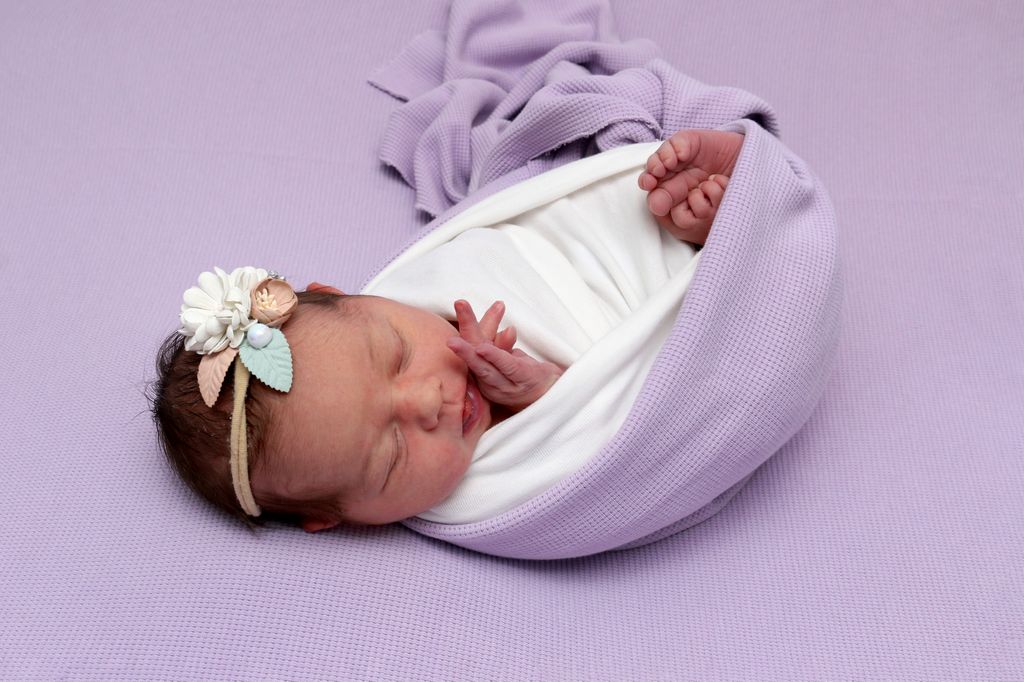 Aurelia Alice