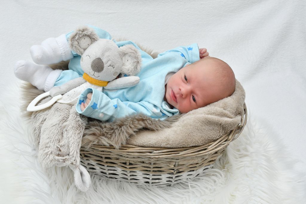 Linus-Joel