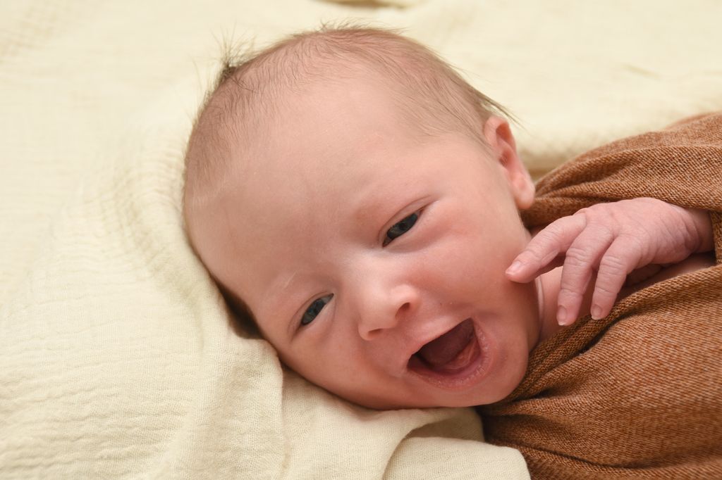 Arlo Levi