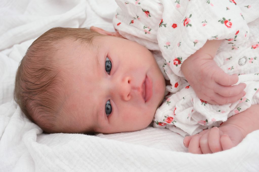 Evelina