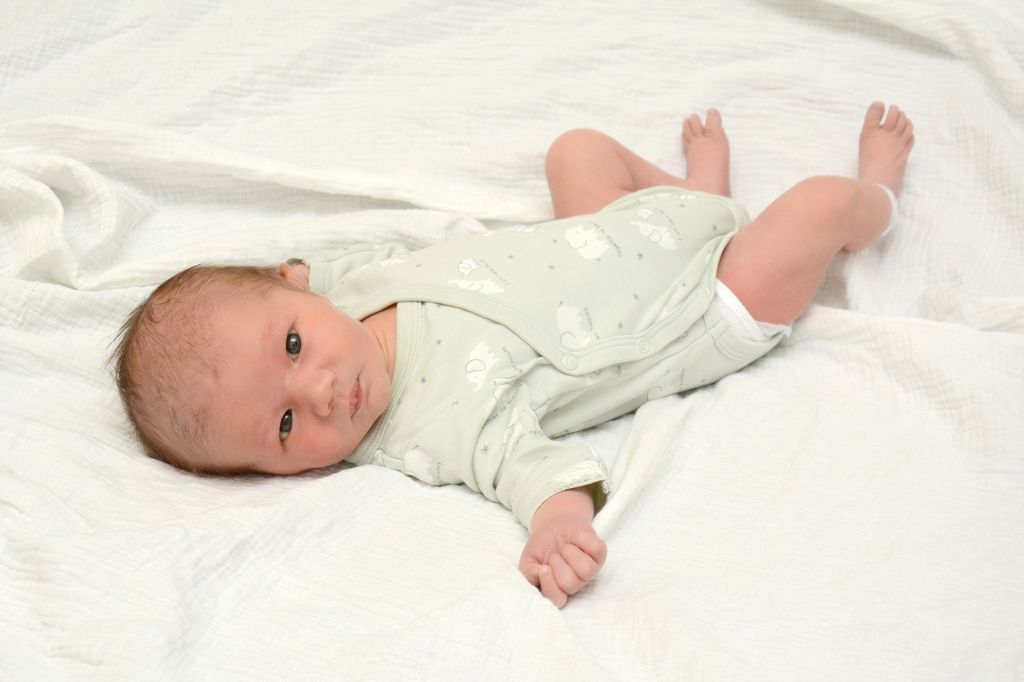 Hannes