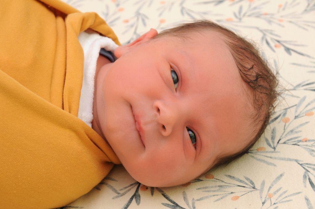 Mateo