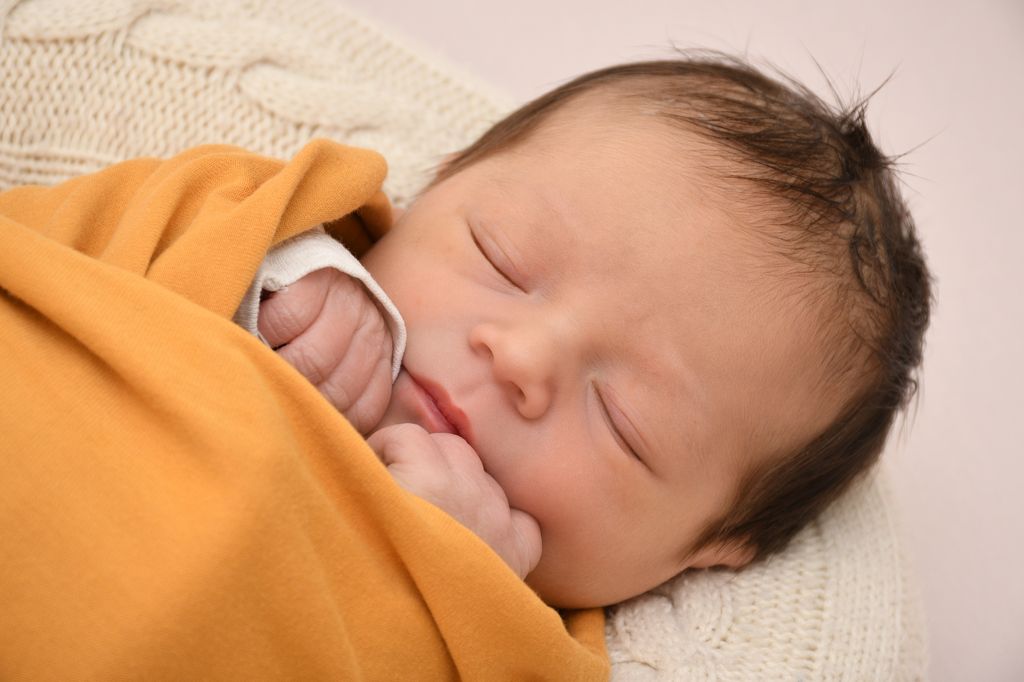 Aria Teia