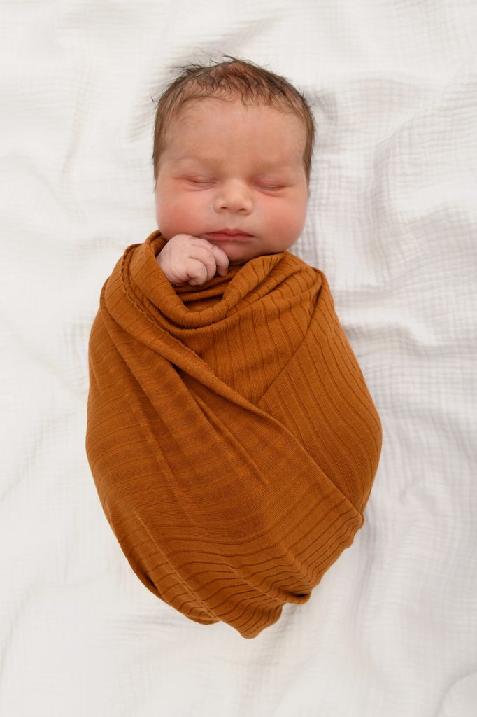Theo Casian