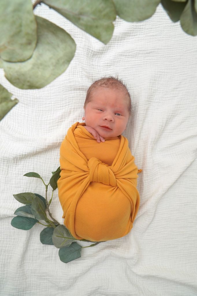 Levi Aaron