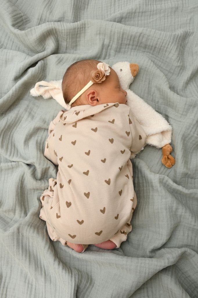 Liv Elisabeth