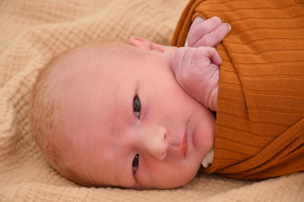 Jonah Alwin