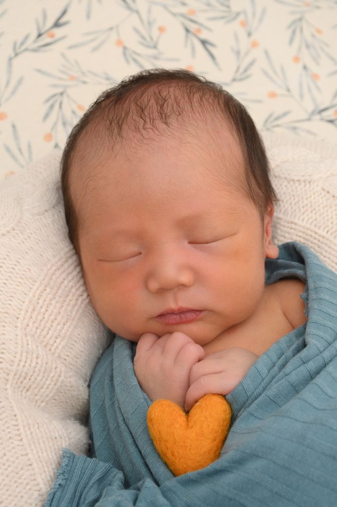 Hayden