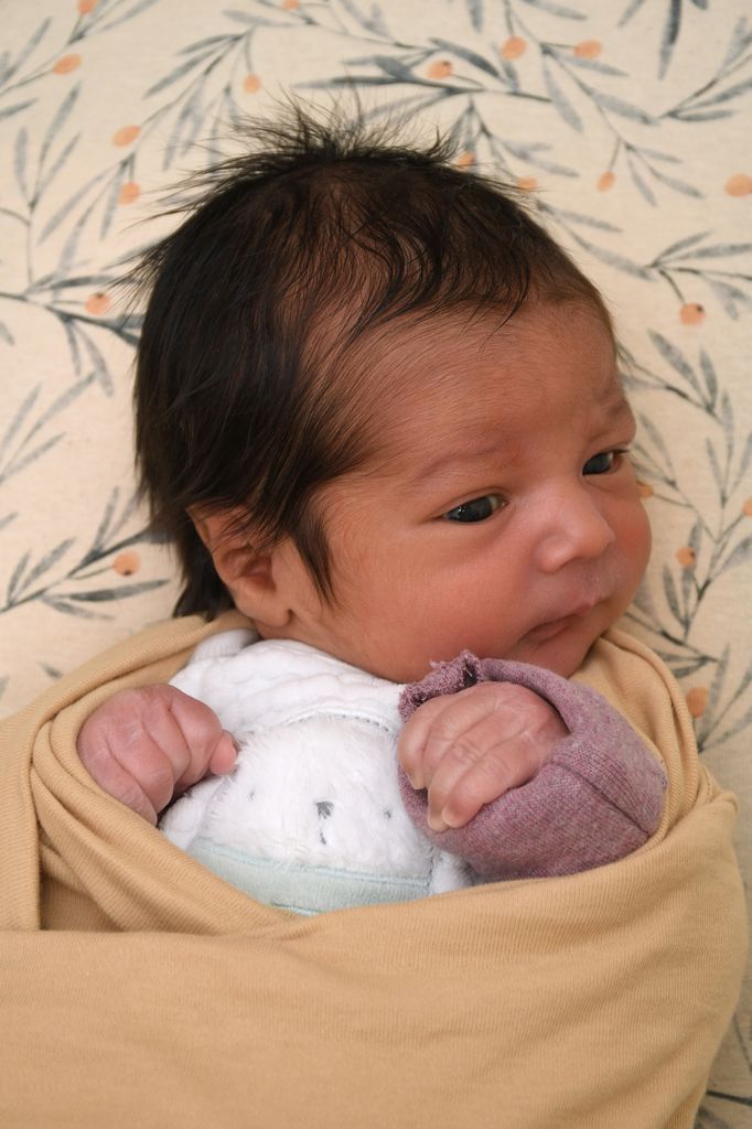 Orhan