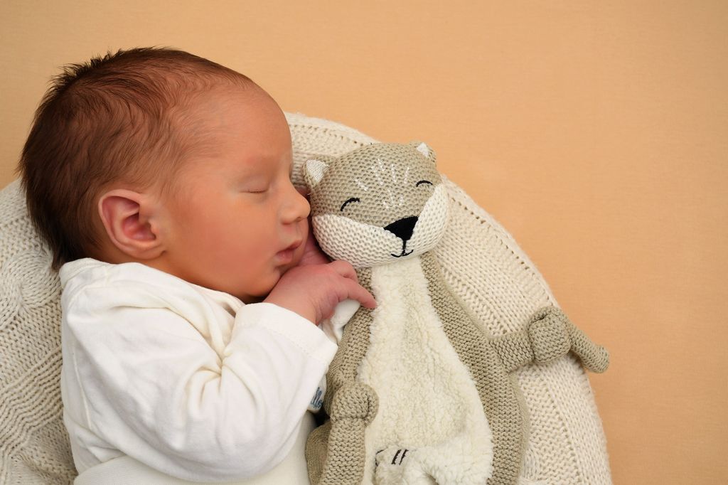 Finn Julius