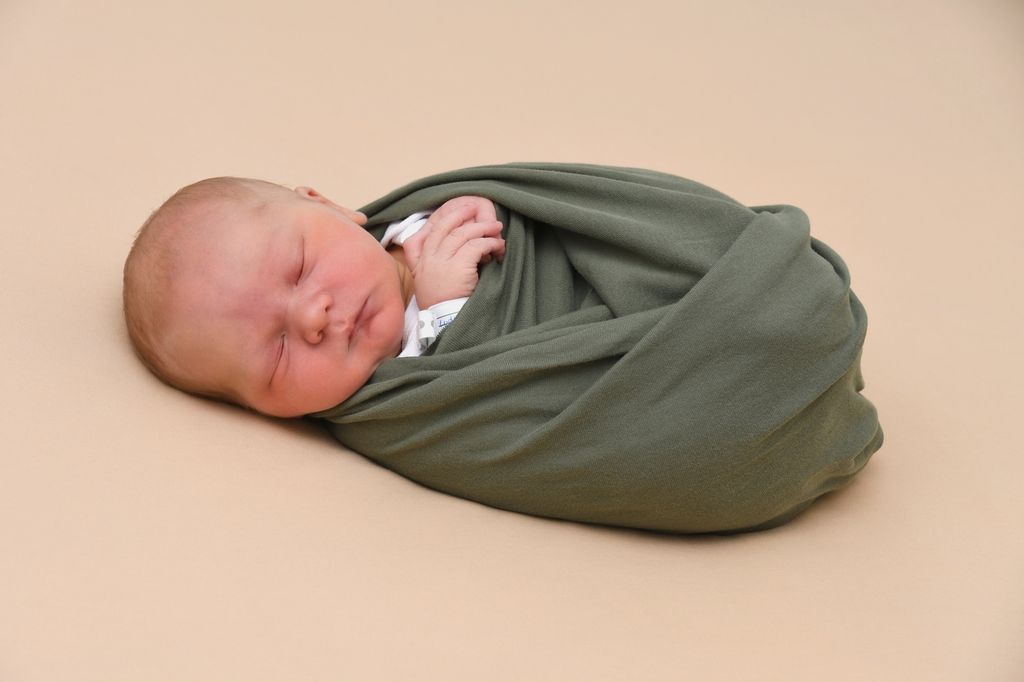 Ludwig Theo